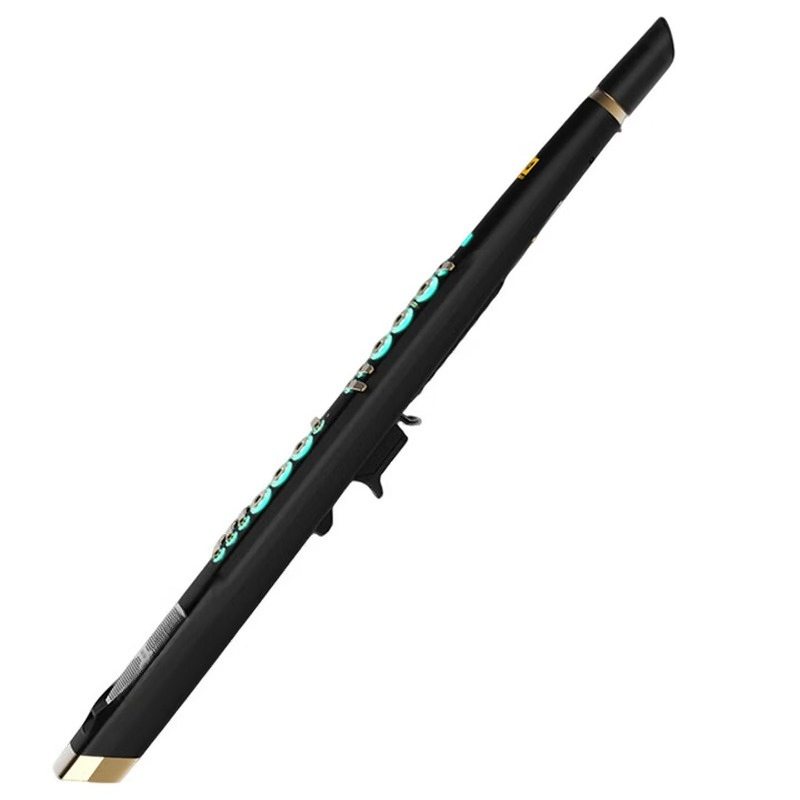 Musical Instrument You Blow Into - C20 true sampling domestic high-end intelligent