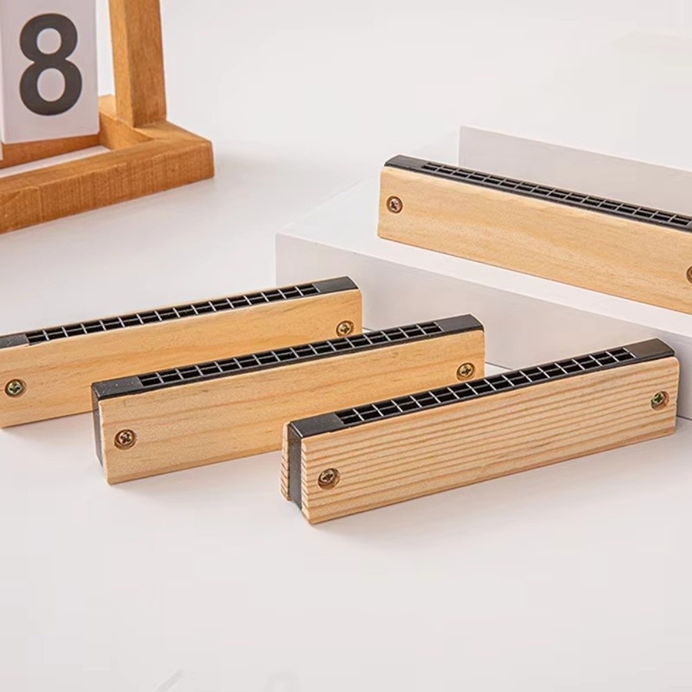 Musical Instrument Melodica - Creative DIY Little Harmonica White Embryo