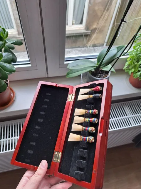 1pcs Bassoon Reed Storage Case - Musical Instrument Bassoon recension och pris