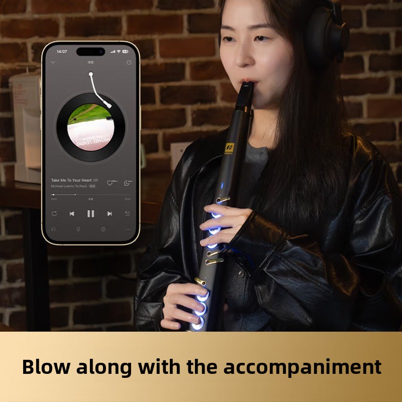 C20 true sampling domestic hig - Musical Instrument You Blow Into recension och pris