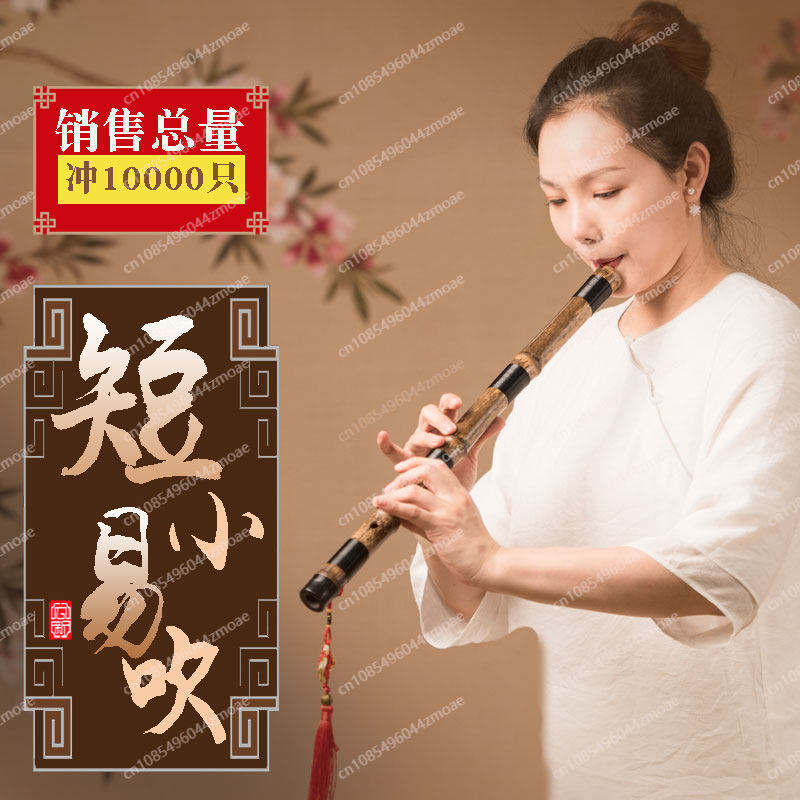Professional play hole flute o - Musical Instrument You Blow Into recension och pris