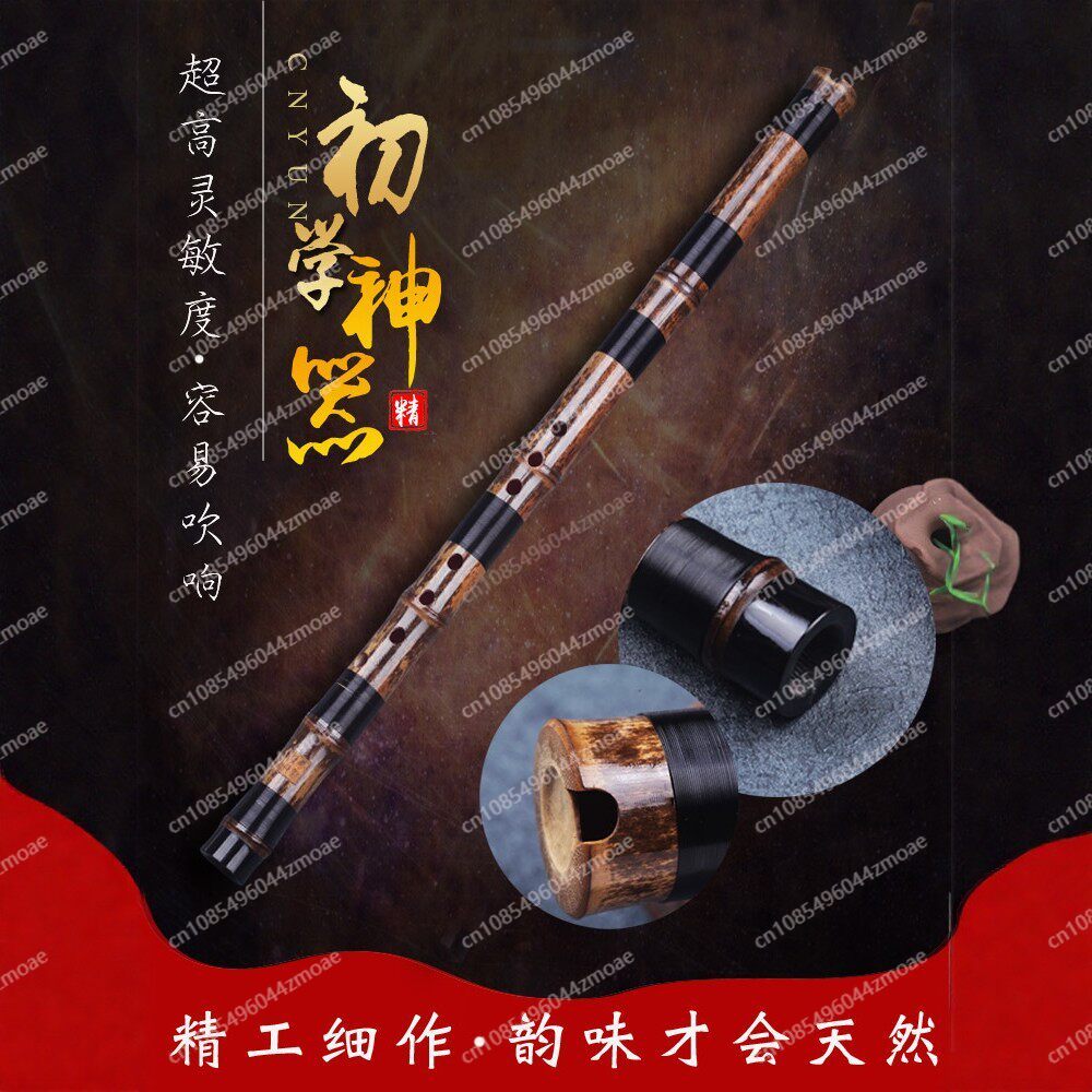 Professional play hole flute o - Musical Instrument You Blow Into recension och pris