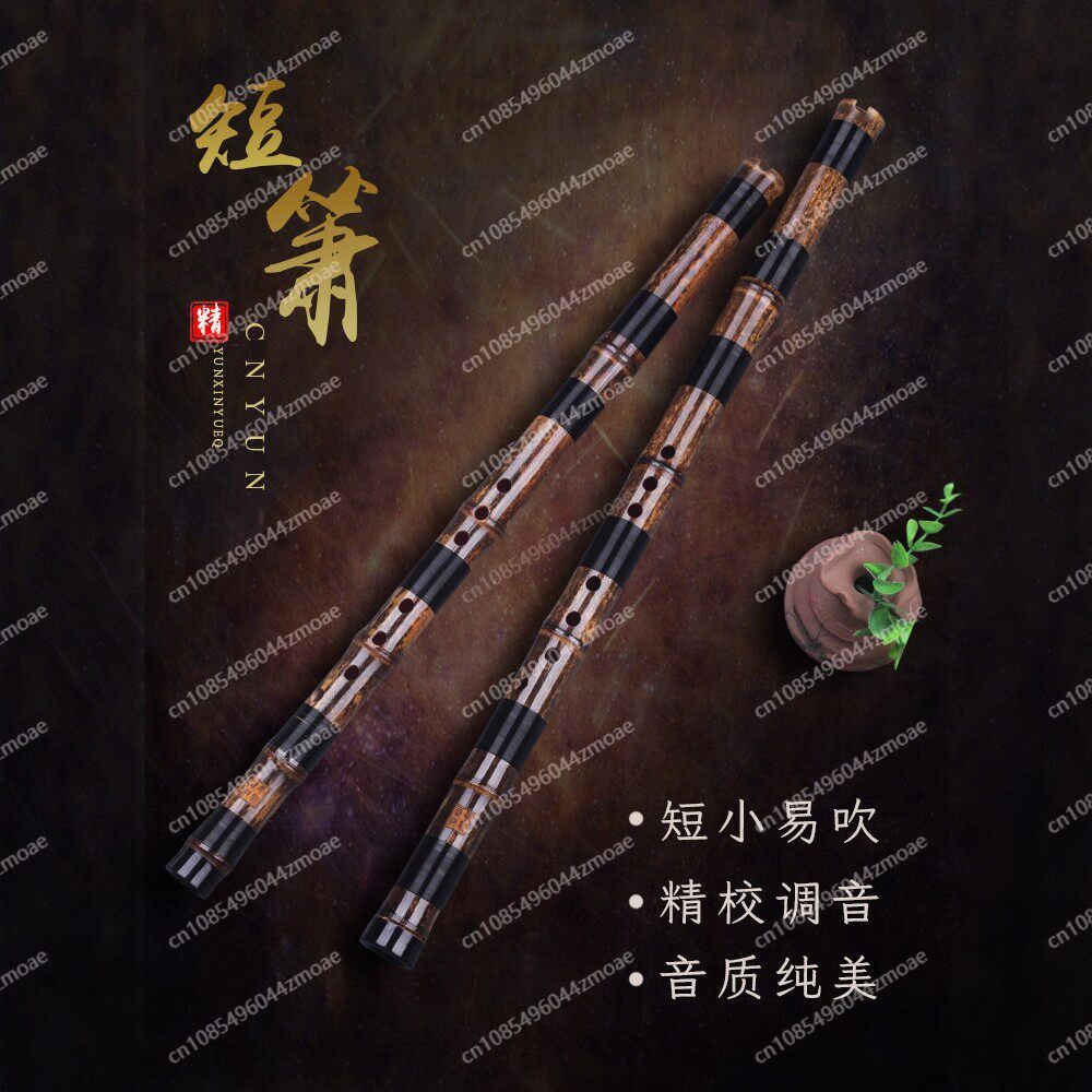 Professional play hole flute o - Musical Instrument You Blow Into recension och pris