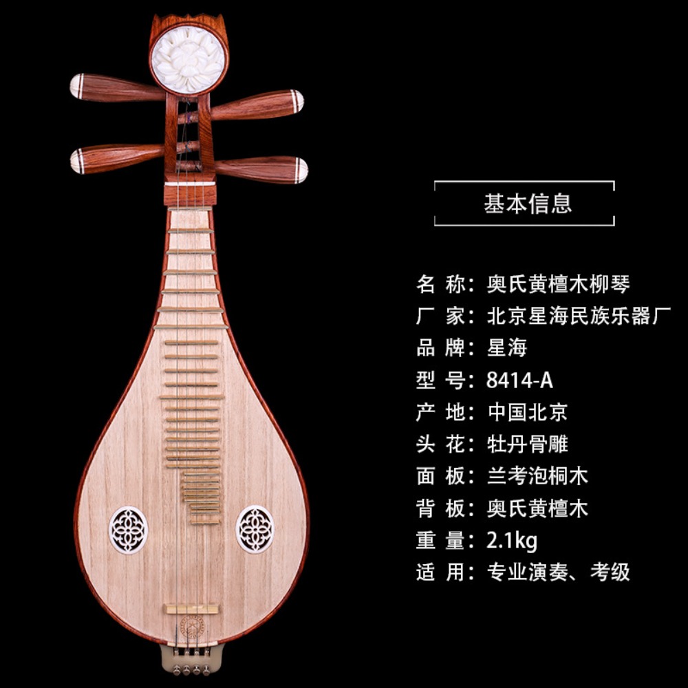 Beijing Xinghai 8414-A Rosewoo - Musical Instrument Music recension och pris