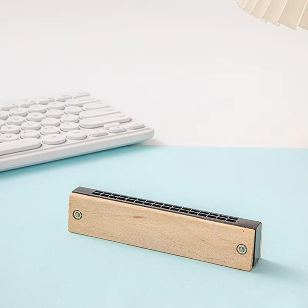 Creative DIY Little Harmonica  - Musical Instrument Melodica recension och pris