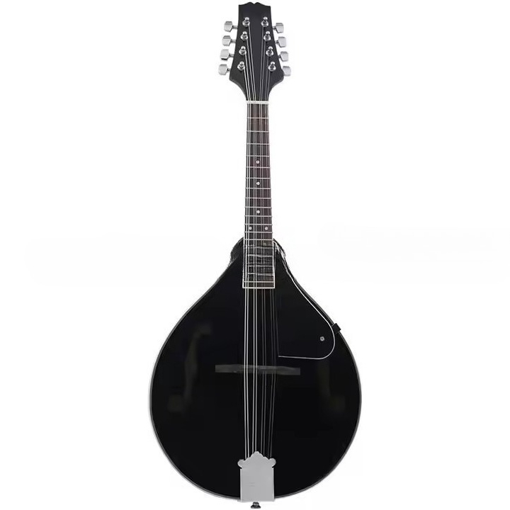 Tibetan Ethnic Musical Instrum - Musical Instrument Mandolin recension och pris