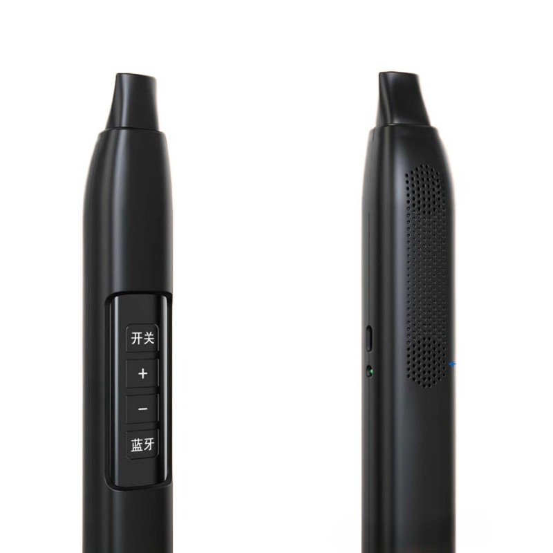 Portable Electronic Wind Instr - Musical Instrument Music recension och pris