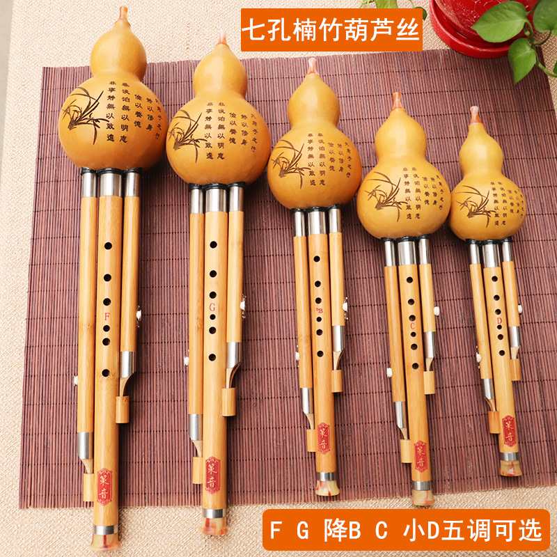 Nanzhu Gourd Silk Musical Inst - Musical Instrument You Blow Into recension och pris