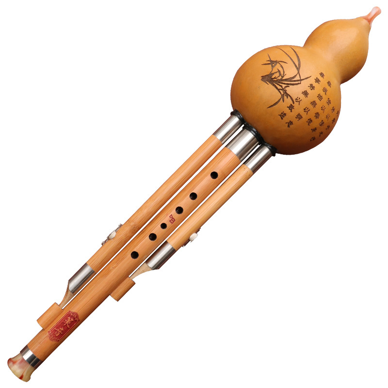 Nanzhu Gourd Silk Musical Inst - Musical Instrument You Blow Into recension och pris