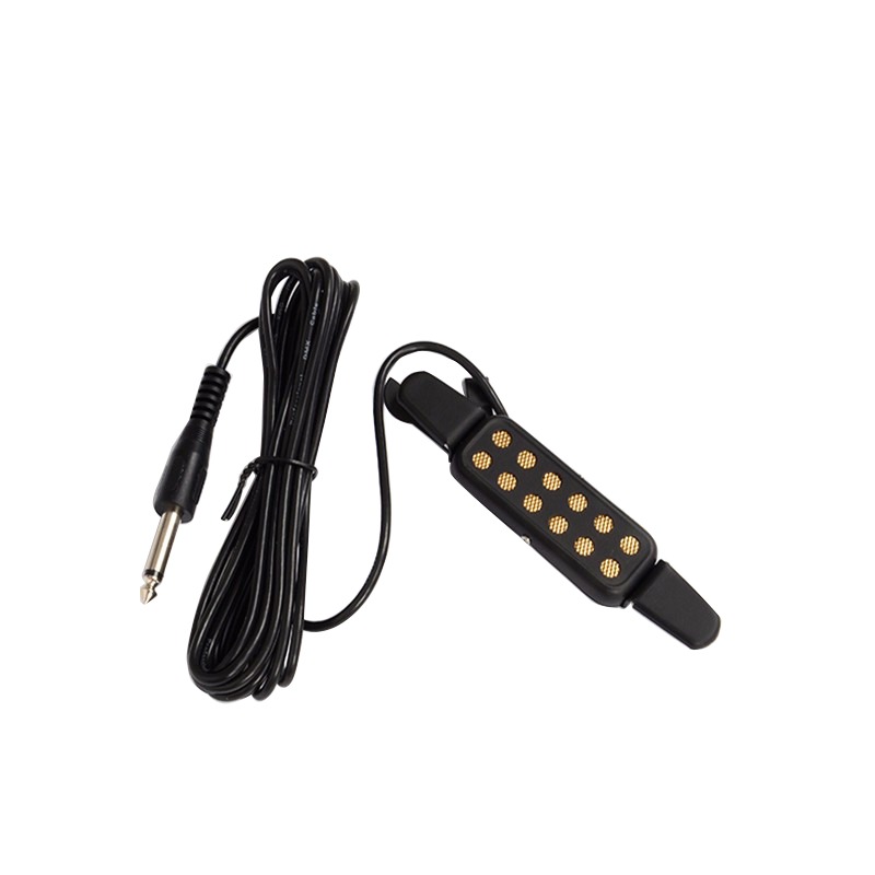 Professional Classic Acoustic  - Musical Instrument Amplifier recension och pris